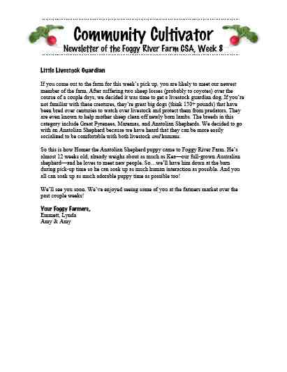 Week 8 newsletter